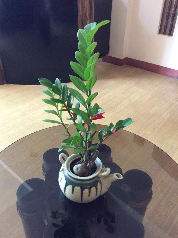 Bahay Ni Tuding - House Of Tuding Hotel Davao Bagian luar foto